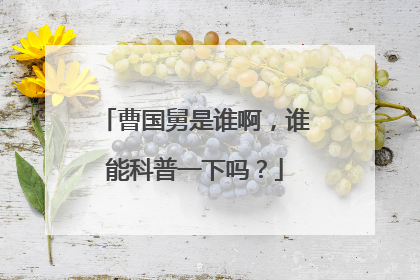 曹国舅是谁啊,谁能科普一下吗?