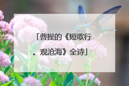 曹操的《短歌行。观沧海》全诗
