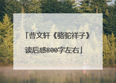 曹文轩《骆驼祥子》读后感800字左右
