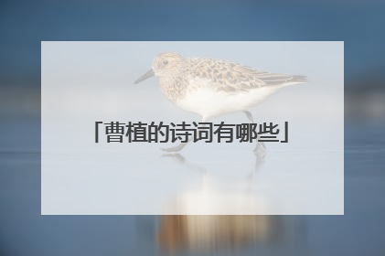 曹植的诗词有哪些