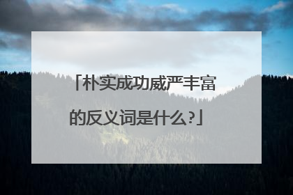 朴实成功威严丰富的反义词是什么?