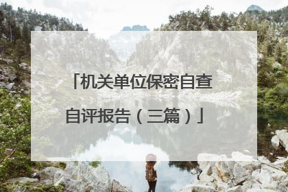 机关单位保密自查自评报告(三篇)