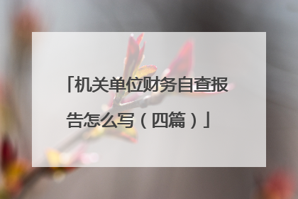 机关单位财务自查报告怎么写(四篇)