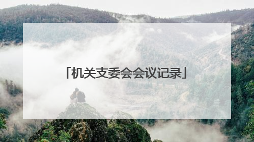 机关支委会会议记录