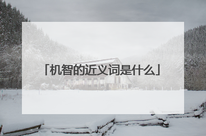 机智的近义词是什么