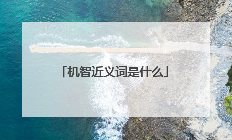 机智近义词是什么