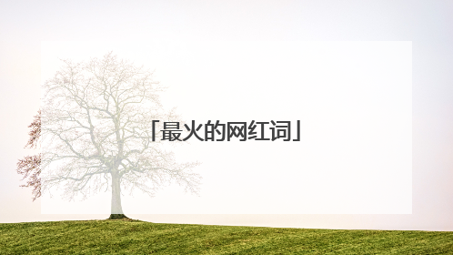 最火的网红词