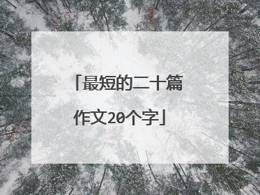 最短的二十篇作文20个字