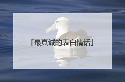 最真诚的表白情话
