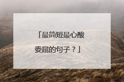 最简短最心酸委屈的句子？