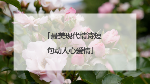 最美现代情诗短句动人心爱情