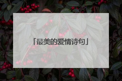 最美的爱情诗句