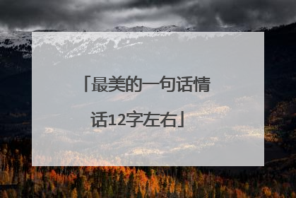 最美的一句话情话12字左右