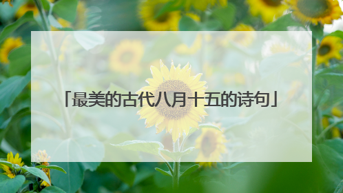 最美的古代八月十五的诗句