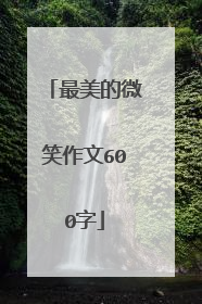 最美的微笑作文600字
