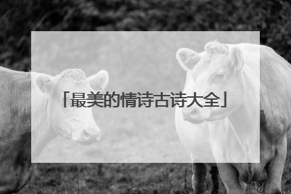 最美的情诗古诗大全