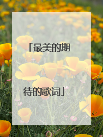 最美的期待的歌词