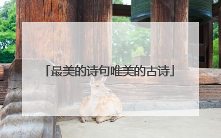 最美的诗句唯美的古诗