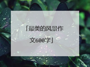 最美的风景作文600字