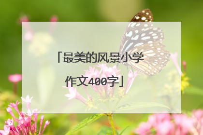 最美的风景小学作文400字