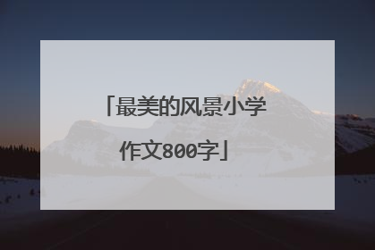 最美的风景小学作文800字