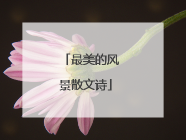 最美的风景散文诗