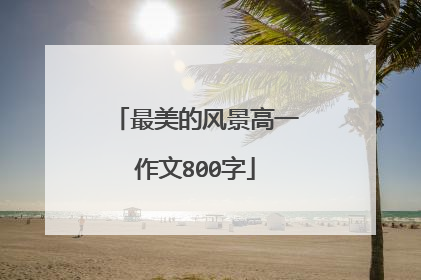 最美的风景高一作文800字