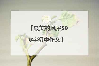 最美的风景500字初中作文