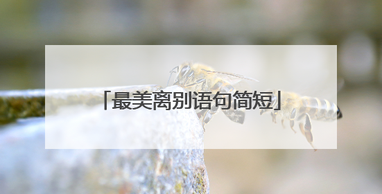 最美离别语句简短