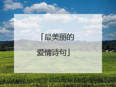 最美丽的爱情诗句