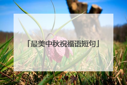 最美中秋祝福语短句