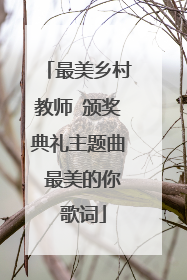 最美乡村教师 颁奖典礼主题曲 最美的你 歌词