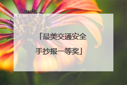 最美交通安全手抄报一等奖