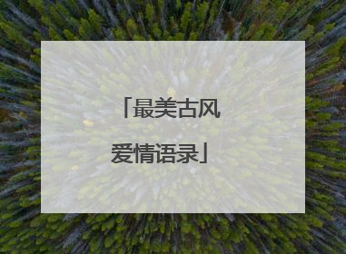 最美古风爱情语录