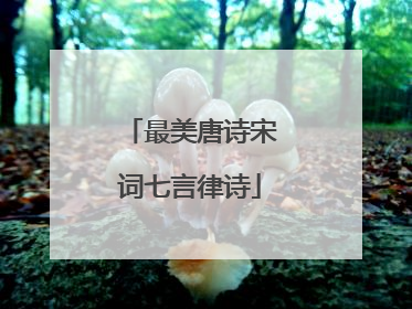 最美唐诗宋词七言律诗