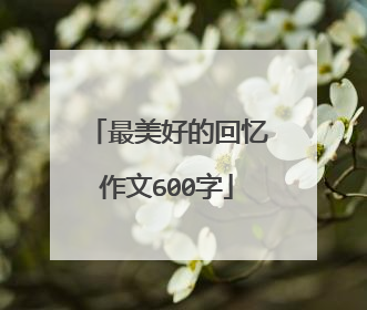 最美好的回忆作文600字
