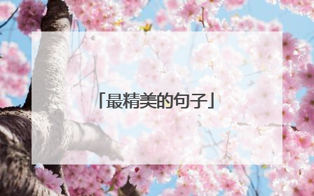 最精美的句子