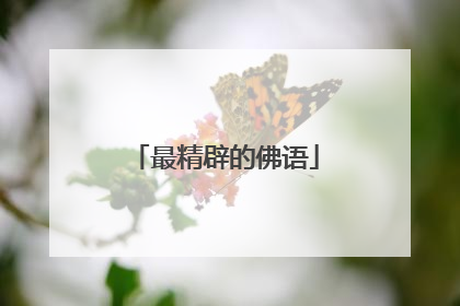 最精辟的佛语