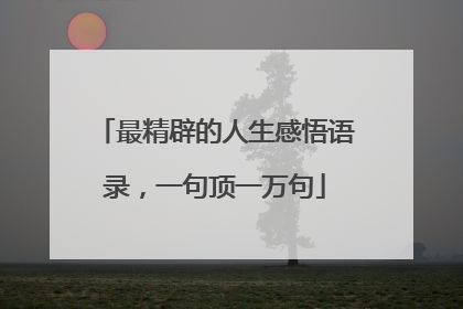 最精辟的人生感悟语录,一句顶一万句