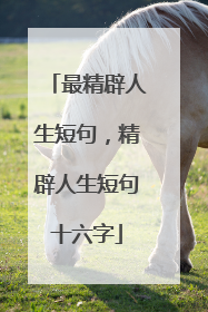 最精辟人生短句，精辟人生短句十六字