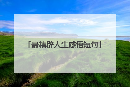 最精辟人生感悟短句