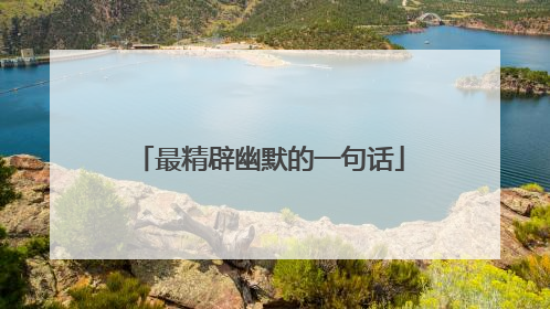 最精辟幽默的一句话
