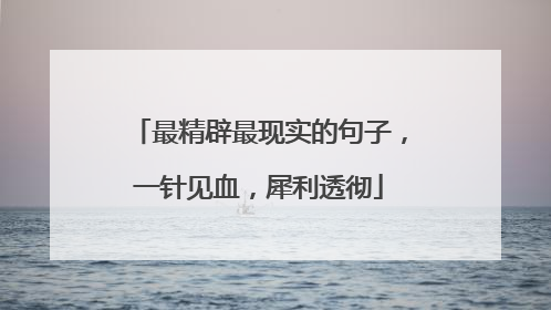 最精辟最现实的句子,一针见血,犀利透彻
