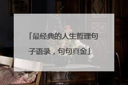 最经典的人生哲理句子语录,句句真金