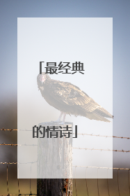 最经典的情诗