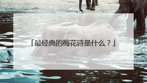 最经典的梅花诗是什么?