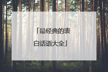 最经典的表白话语大全
