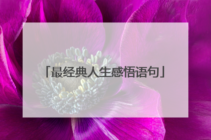 最经典人生感悟语句