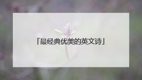 最经典优美的英文诗