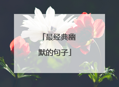 最经典幽默的句子